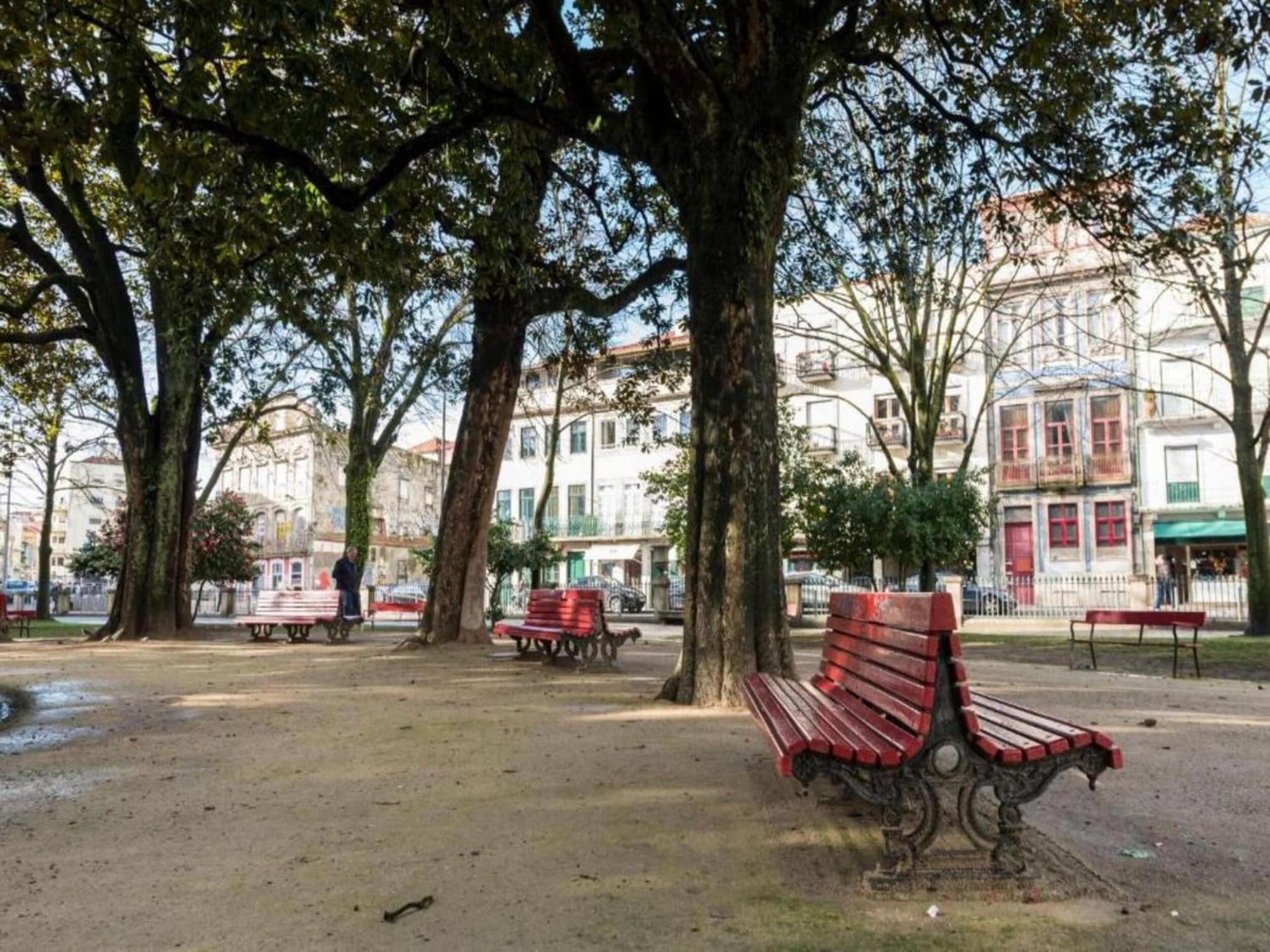 Pet-friendly In Apartament